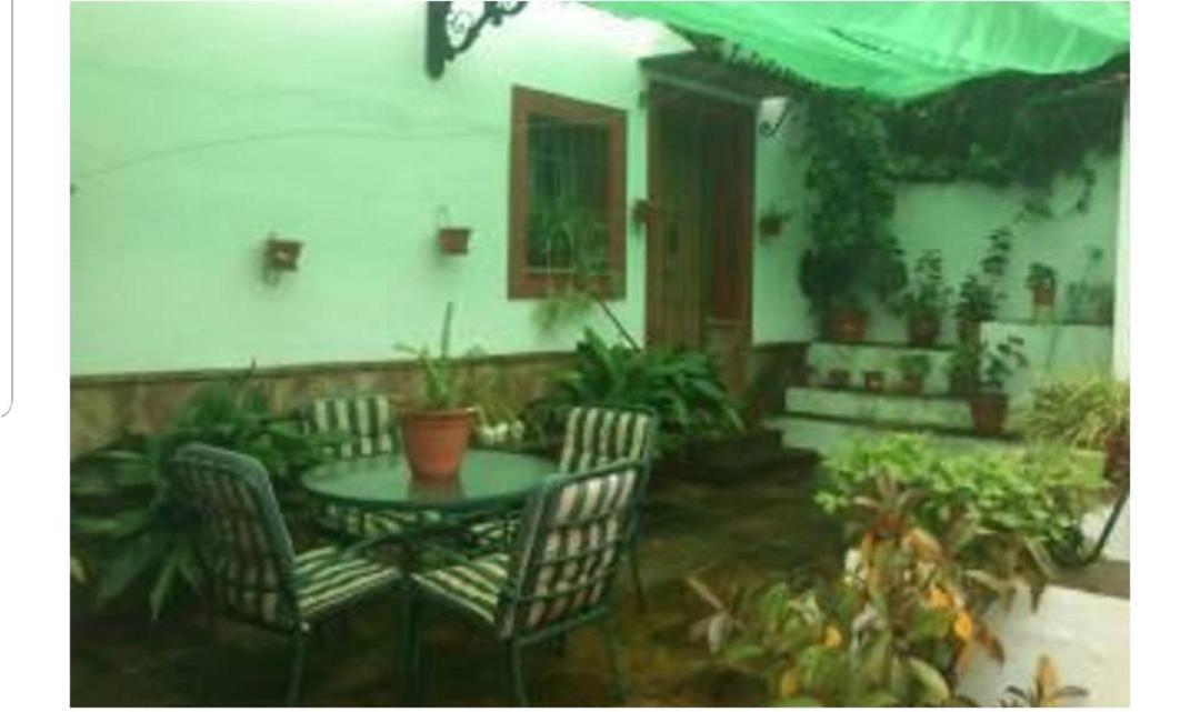 Apartamento En Cortijo Totalmente Reformado En Pleno Paraje Natural Junto Al Caminito Del Rey Y Los Sectores Mas Importantes De Escalada A Solo 2 Minutos De La Estacion De Tren Алора Екстер'єр фото